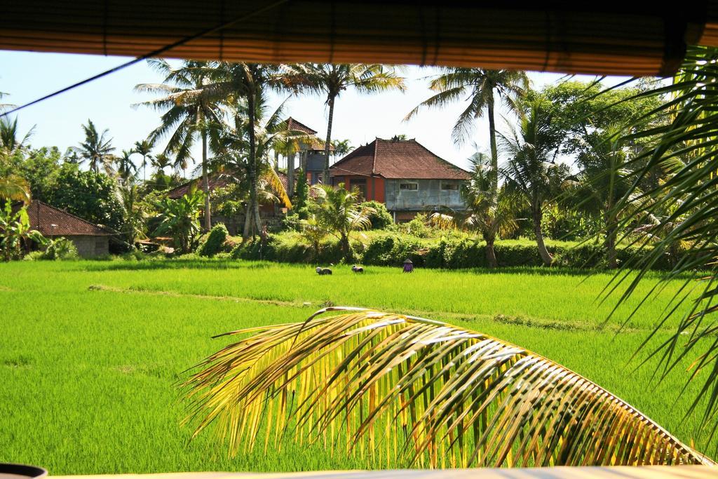 The Happy Mango Tree Pansiyon Ubud Dış mekan fotoğraf