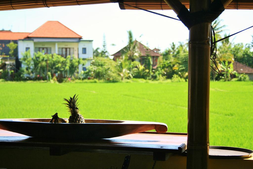 The Happy Mango Tree Pansiyon Ubud Dış mekan fotoğraf